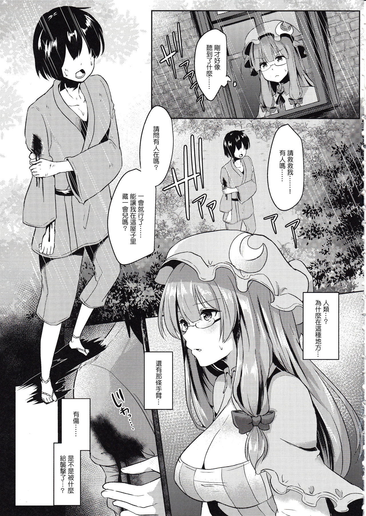 (Reitaisai14) [Kuusou Monochrome (Abi)] Sasimin Patche (Touhou Project) [Chinese] [CE家族社] page 4 full