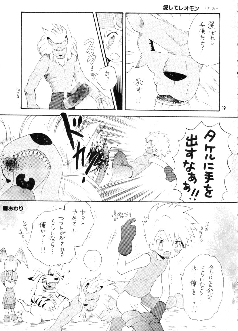 (CCTokyo96) [Haniwa Mania, Kuruguru DNA (Pon Takahanada, Hoshiai Hiro)] Bokura No Jogress World (Digimon Adventure 02) page 19 full