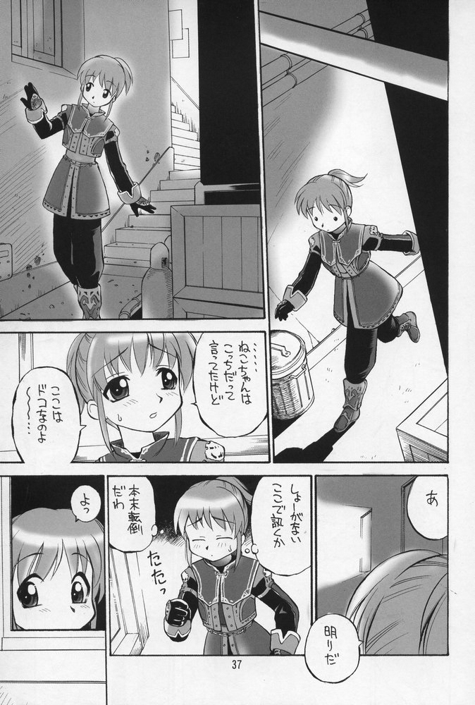 (C68) [Jack-O'-lantern (Ebifly, Neriwasabi)] Neko Panchu (Final Fantasy XI) page 36 full