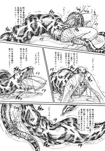 (C69) [Sumomo Dou (Sumomo EX)] Vivian Bessatsu 32 Ugomeku Ibukuro - page 12
