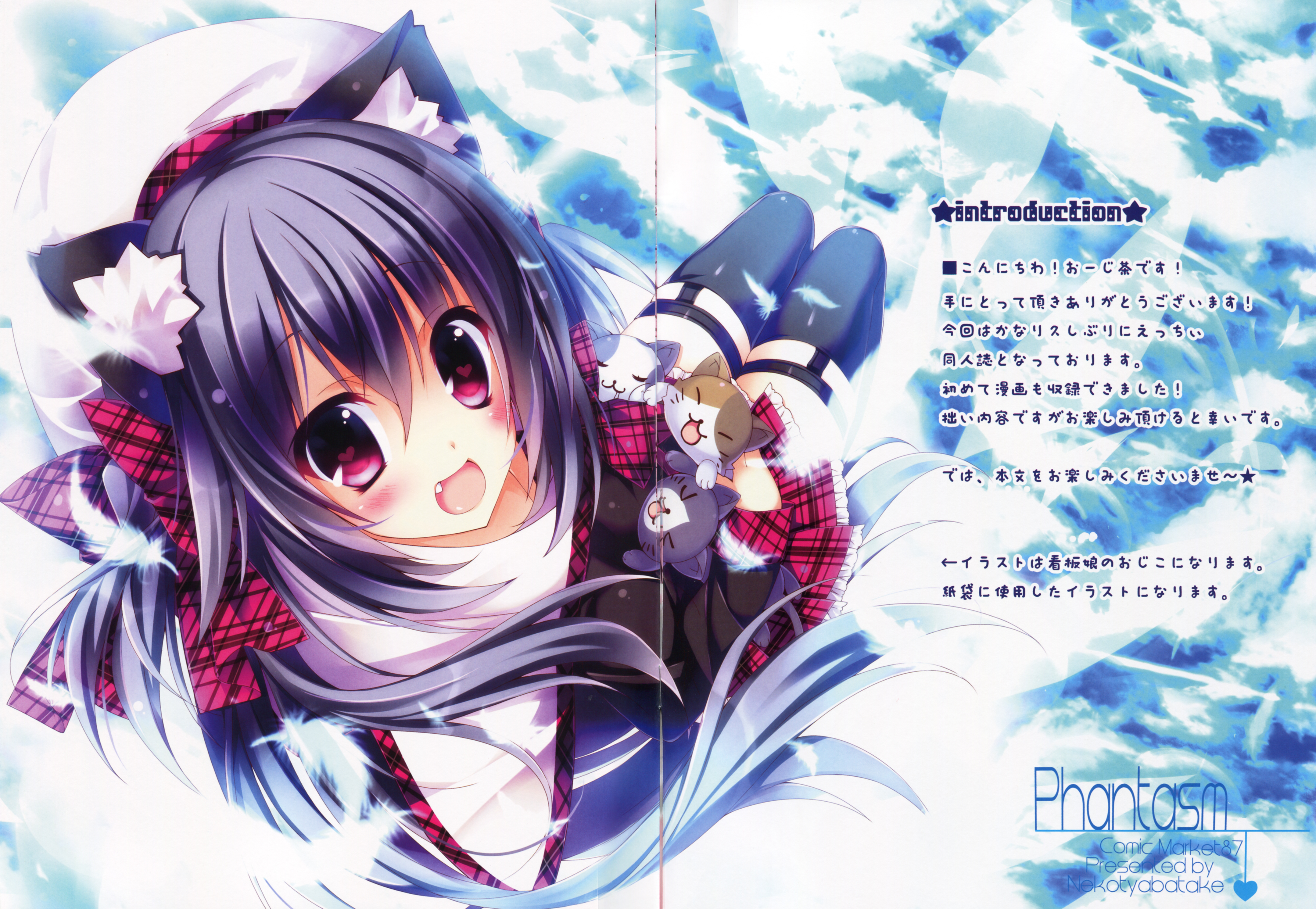 (C87) [Nekotyabatake (o-zicha)] Phantasm page 2 full