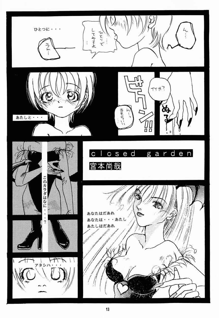 (C53) [Pornostar (Various)] Nureta Osanazuma (Darkstalkers) page 12 full