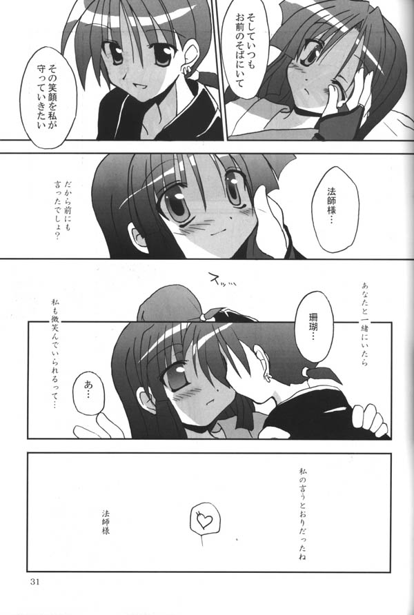 (C65) [Sumitan (Satou Kibi)] Sango-chan no Hon - Dai-san Maku (Inuyasha) page 29 full