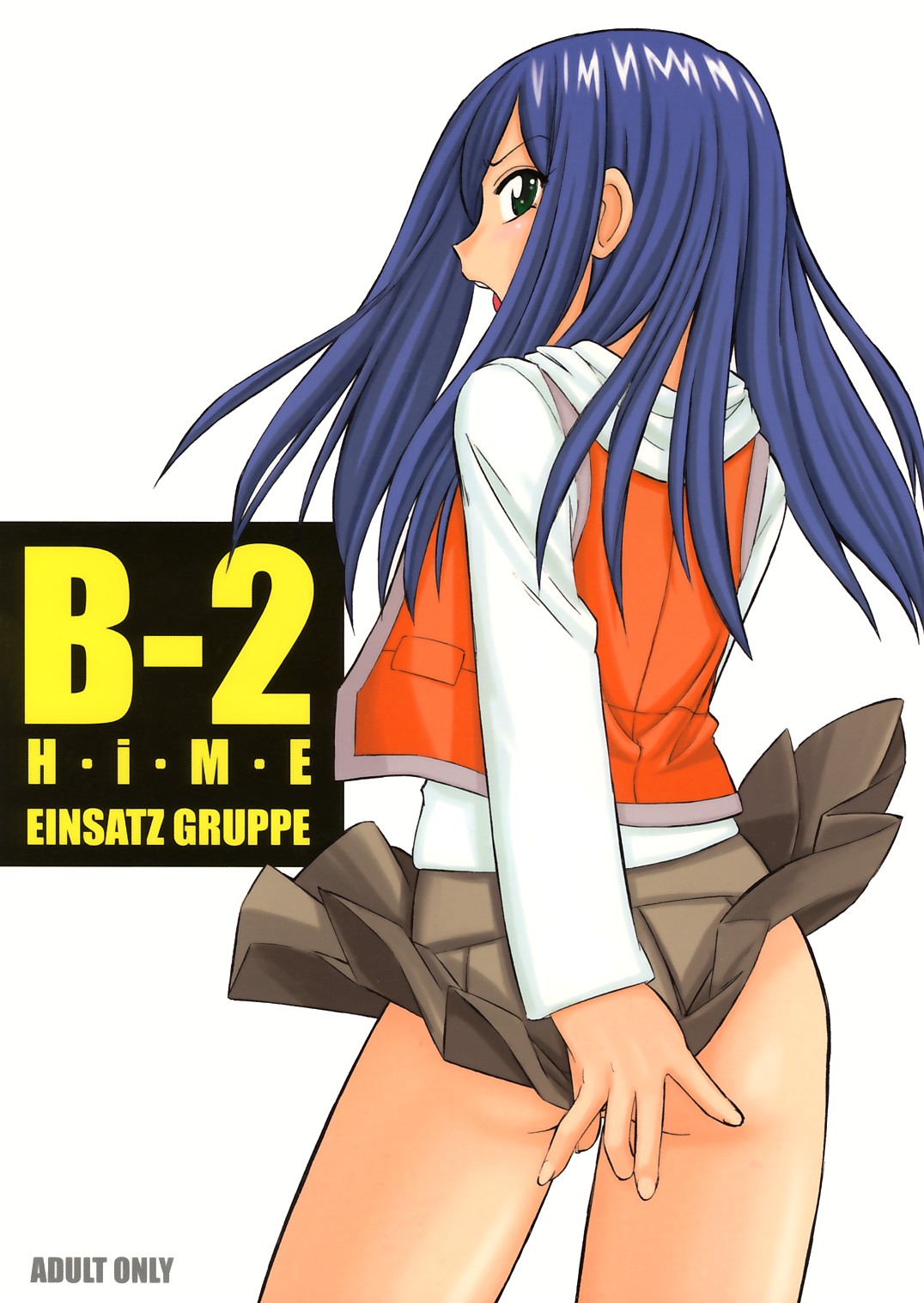 (C67) [EINSATZ GRUPPE (Charlie Nishinaka)] B-2 H-i-M-E (Mai-HiME) page 1 full