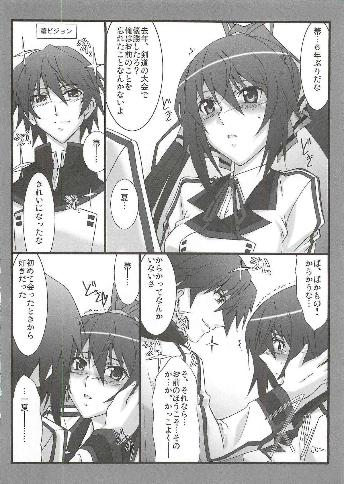 (C81) [STUDIO TRIUMPH (Mutou Keiji)] Astral Bout Ver.22 (Infinite Stratos) page 6 full