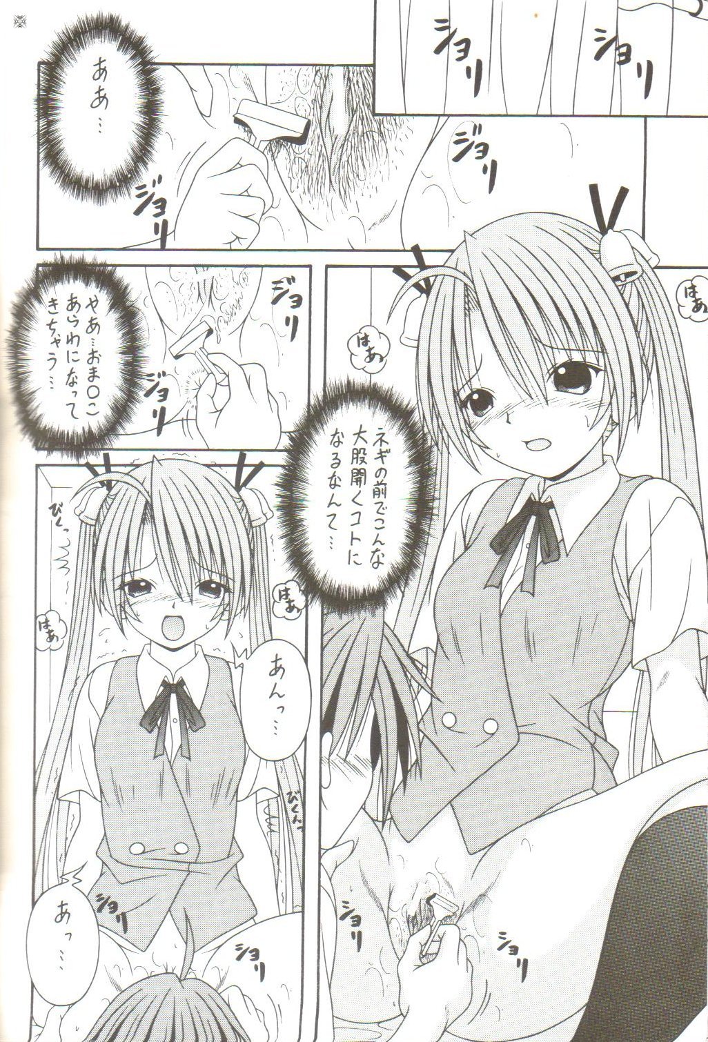 [AIU Show Communication] Negimax! 2 ( Mahou Sensei Negima ) page 11 full