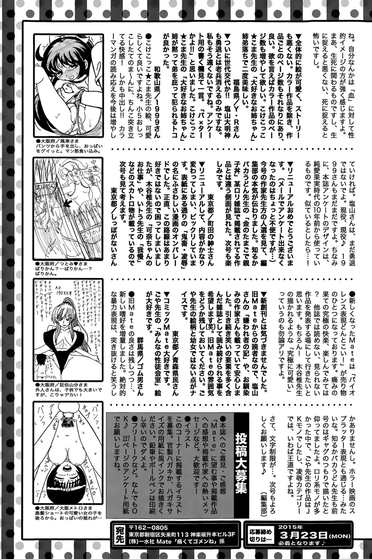 COMIC Mate legend Vol. 2 2015-04 page 233 full