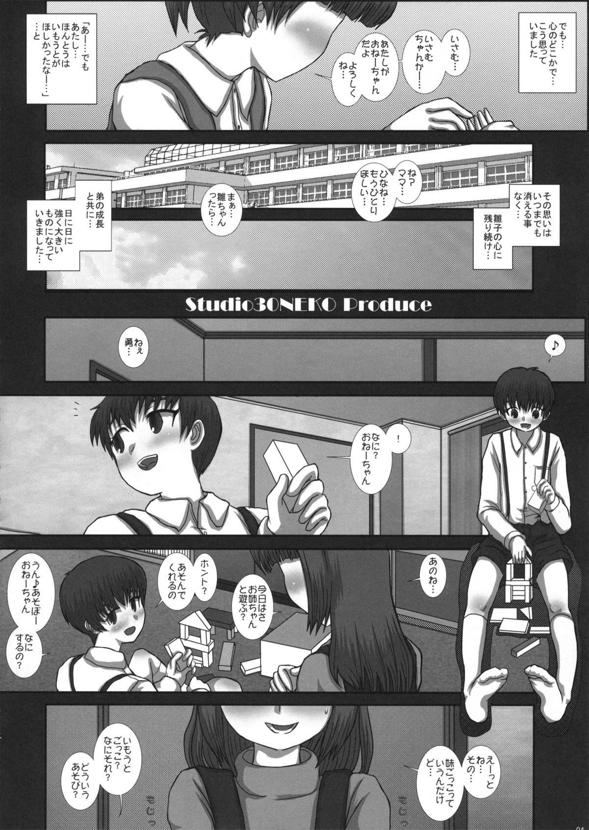 (C83) [Studio30NEKO (fukunotsukuribe)] MromantikXXII page 3 full