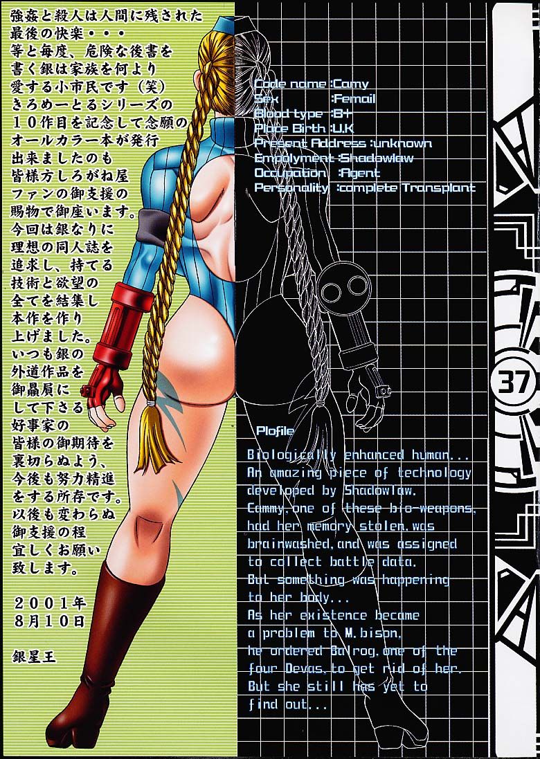 (C60) [Shiroganeya (Ginseiou)] Kilometer 10 All Color SPECIAL (Street Fighter) page 36 full