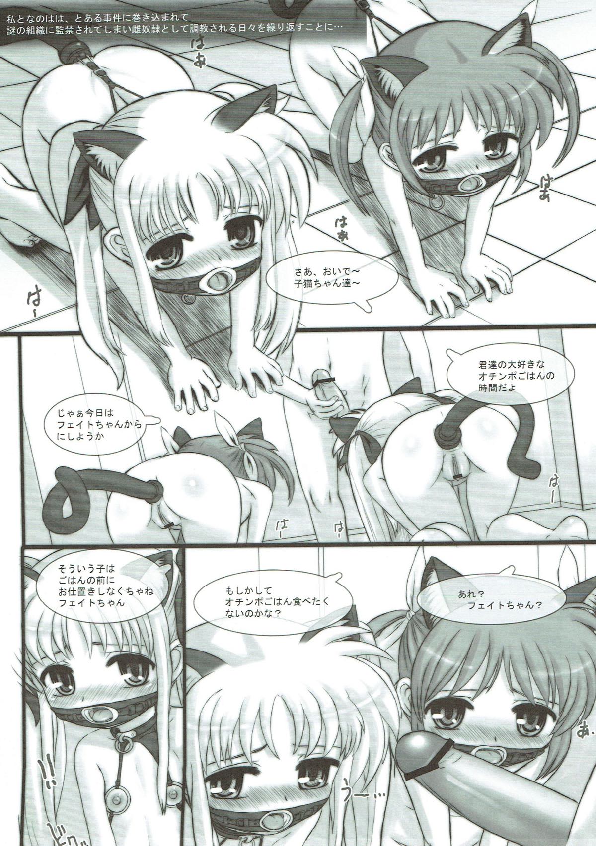 (C80) [Marchen Box (Various)] Nano Para 9 (Mahou Shoujo Lyrical Nanoha) page 8 full