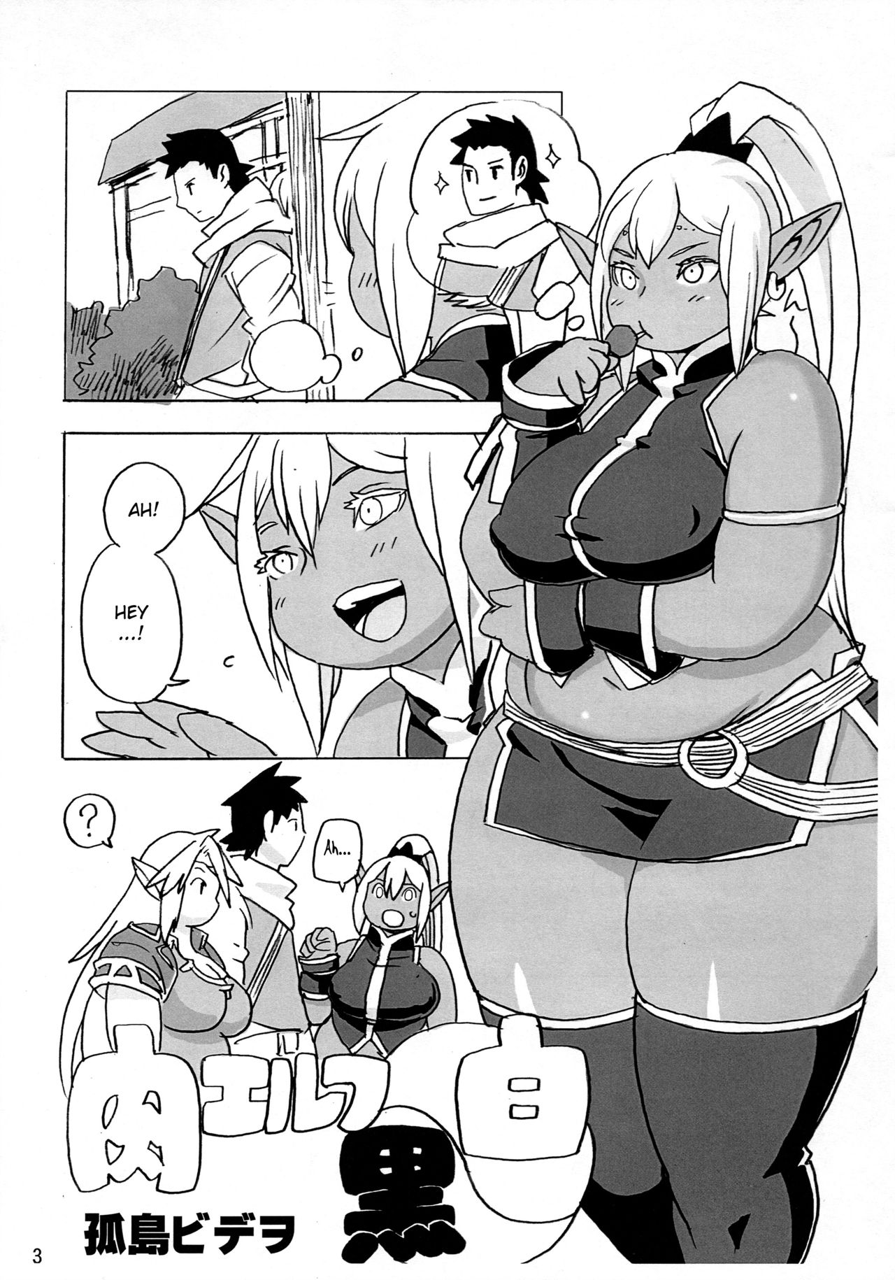 (C91) [UNKNOWN MEAT (Kojima Video)] Niku Elf Shirokuro [English] [BSN] page 3 full
