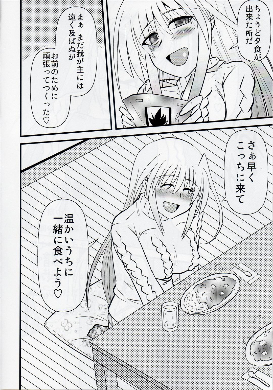 [Shonnakado (Mitsurugi Ken)] Ainsu (Mahou Shoujo Lyrical Nanoha) page 5 full