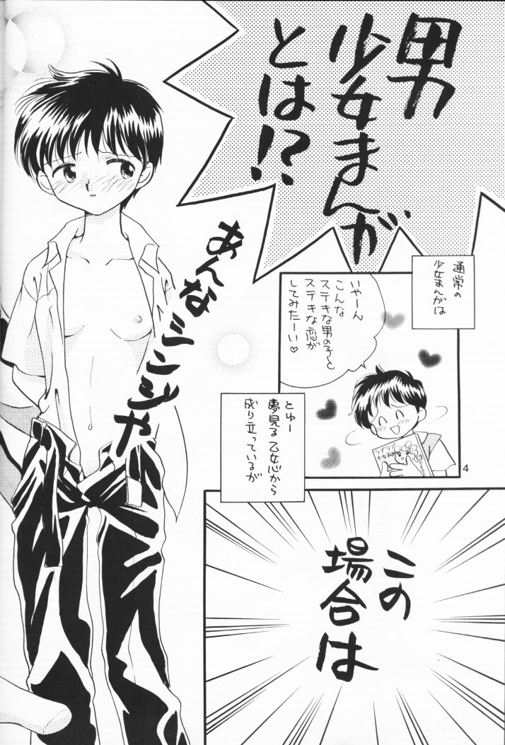 (C54) [Nikkou Kikaku (Gotou Noriko)] Chiisana Koi no Melody (Neon Genesis Evangelion) page 3 full