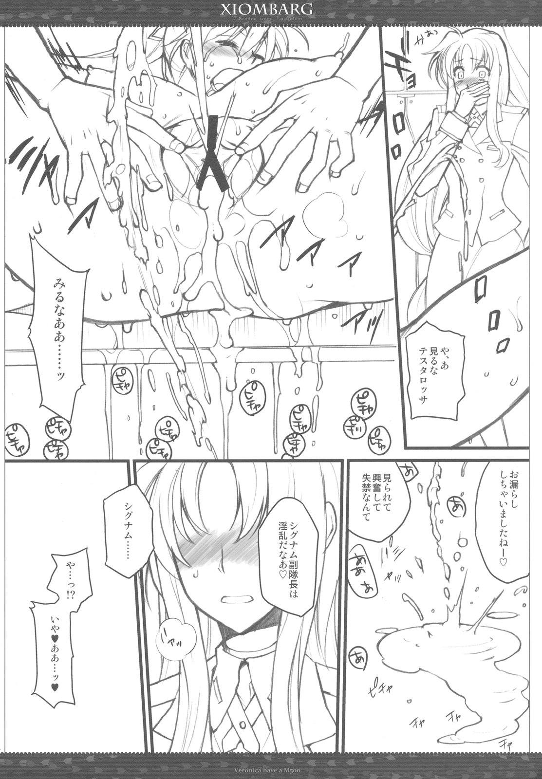 (C79) [VM500 (Kome)] XIOMBARG Preview ver (Mahou Shoujo Lyrical Nanoha) page 24 full