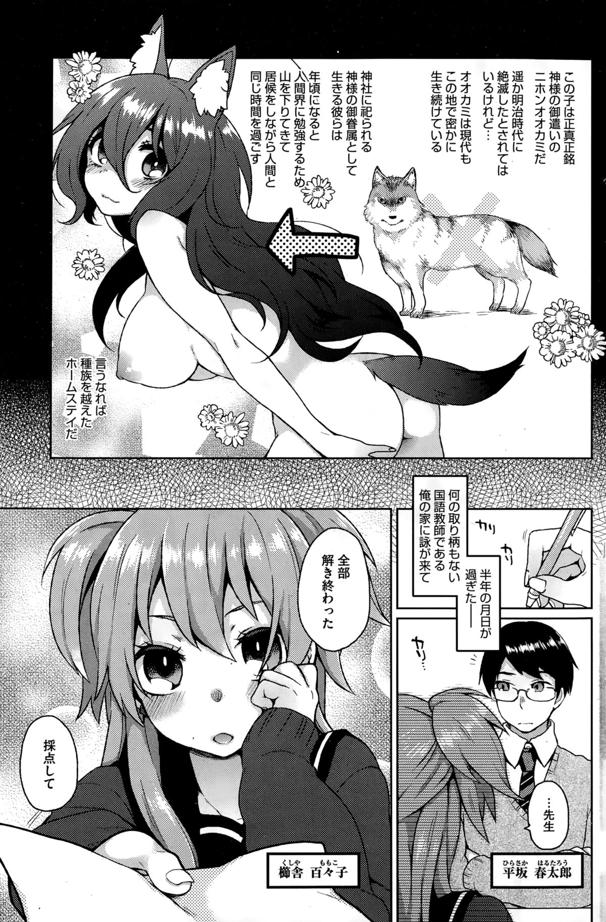 [Majoccoid] Ookami-san no Ooshigoto page 3 full