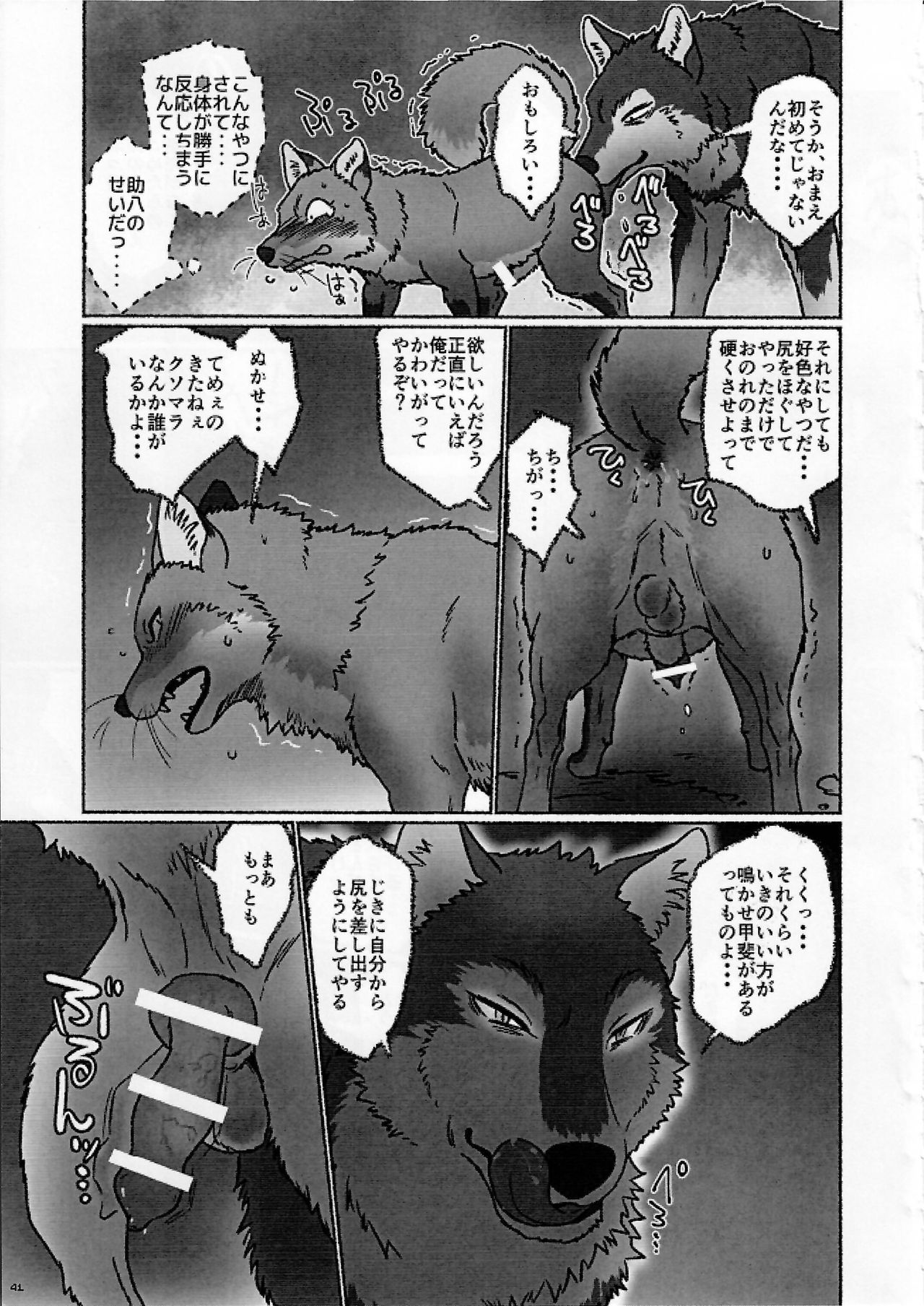 (Kansai! Kemoket 4) [KTQ48 (Various)] KTQ9 page 41 full
