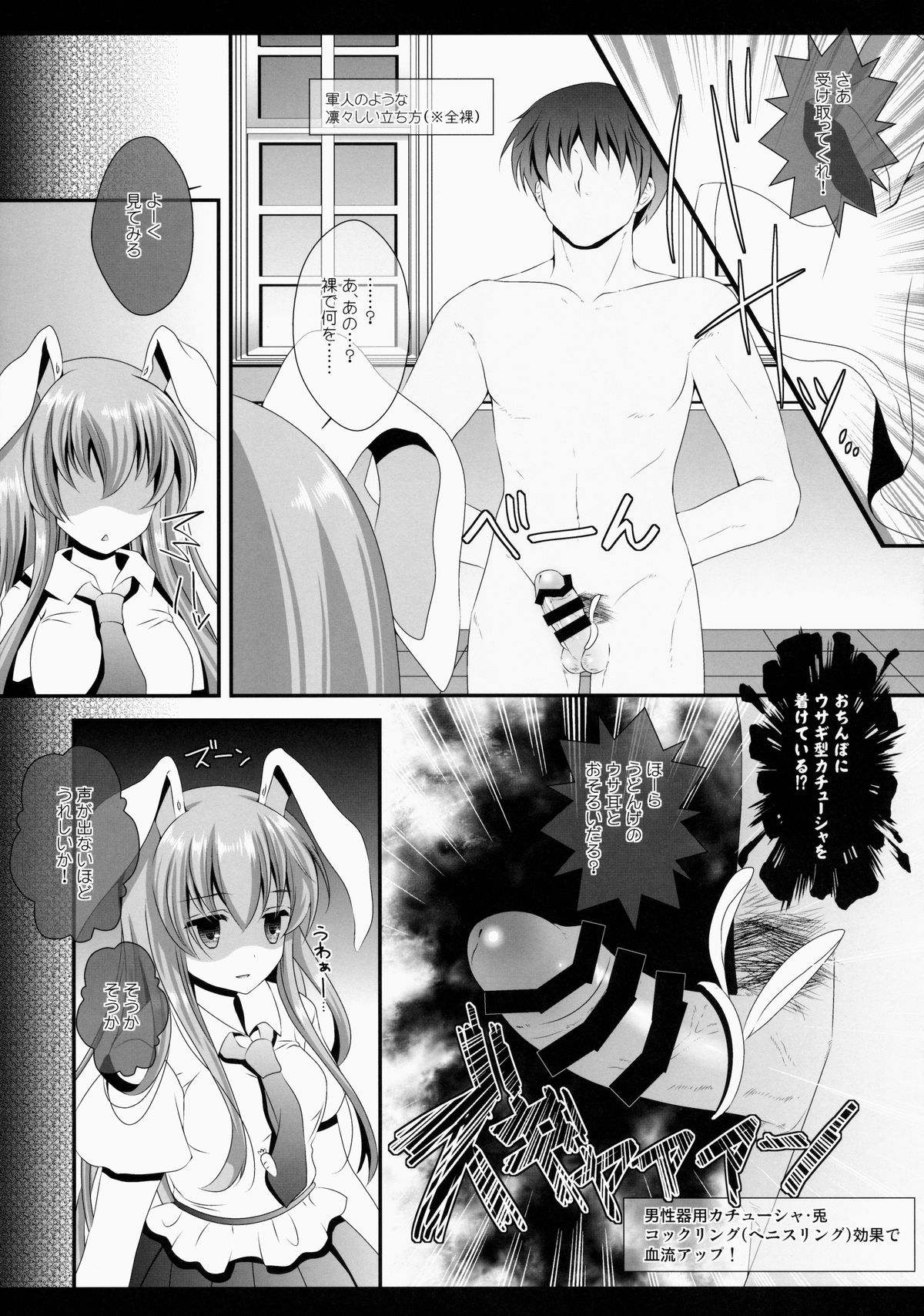 (Reitaisai 12) [Setoran (Itou Seto, Tanno Ran)] Ore no Kawai Betto ga Jikifukkatsu to Kiite xxxxx ga Tomaranai (Touhou Project) page 7 full