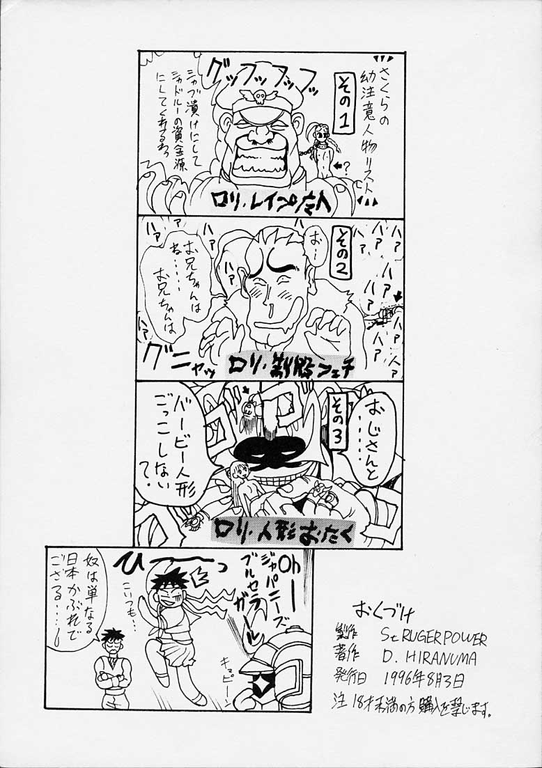 (C50) [St Ruger Power (D. Hiranuma)] Grapple Smasher Zero 2 (Street Fighter) page 23 full