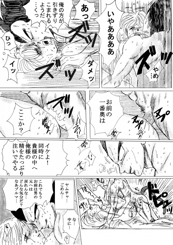 [Ichigoame] To share one´s fate Zenpen (Dragon Ball Z) page 27 full
