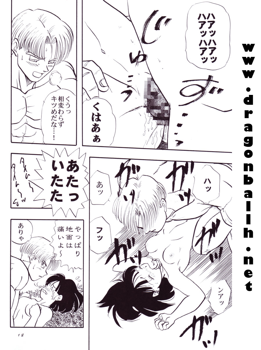 (C54) [Chirigami Goya, Fusuma go Ten (Shoji Hariko)] Tirinuruwo (DRAGON BALL) page 18 full