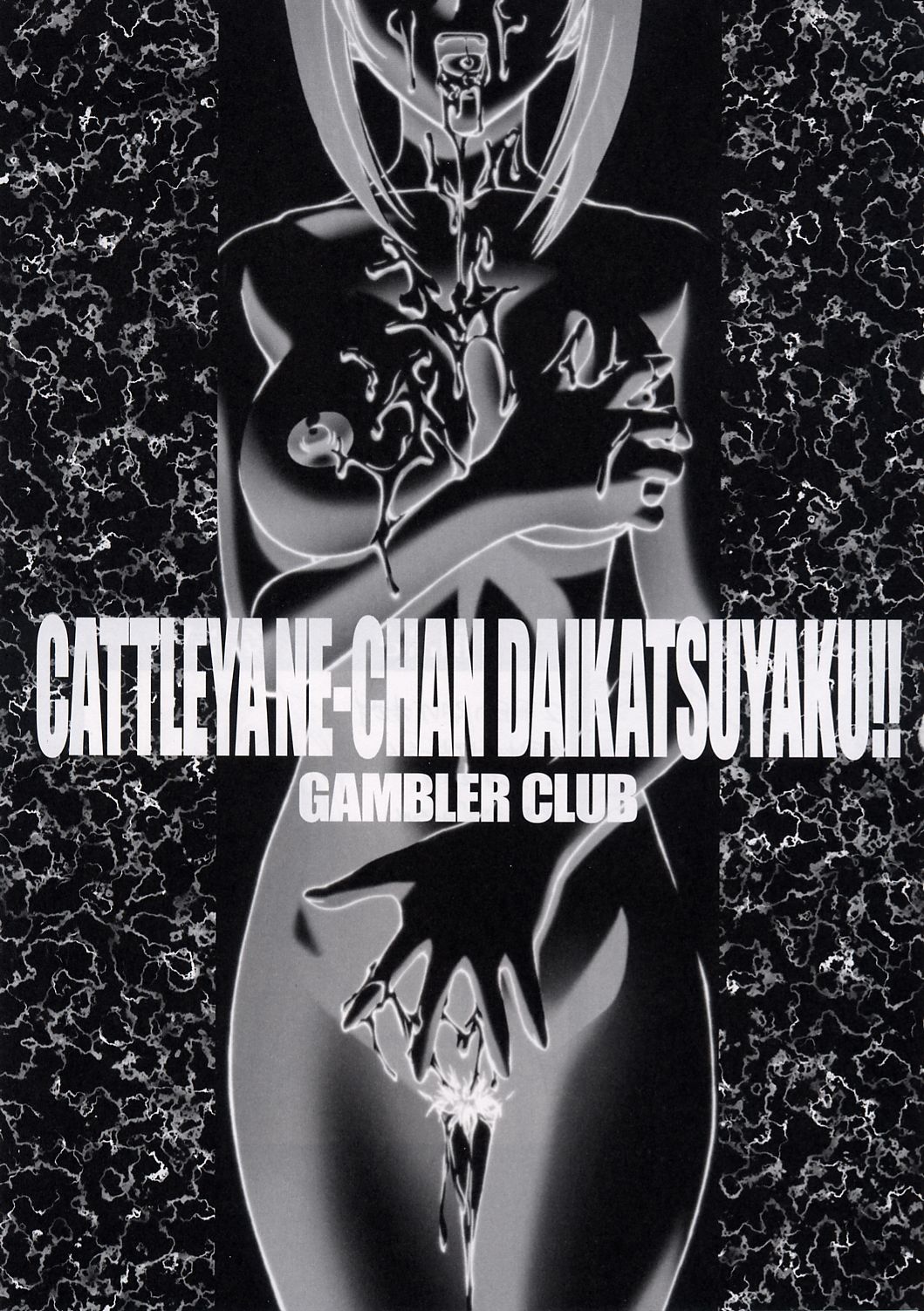 (C63) [Gambler Club (Kousaka)] CATTLEYA NE-CHAN DAIKATSUYAKU!! [Groove Adventure Rave] page 2 full