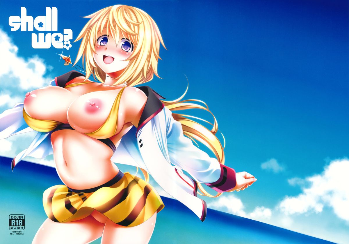 (C84) [Goromenz (Yasui Riosuke)] Shall we...? (IS <Infinite Stratos>) [English] {doujin-moe.us} page 1 full