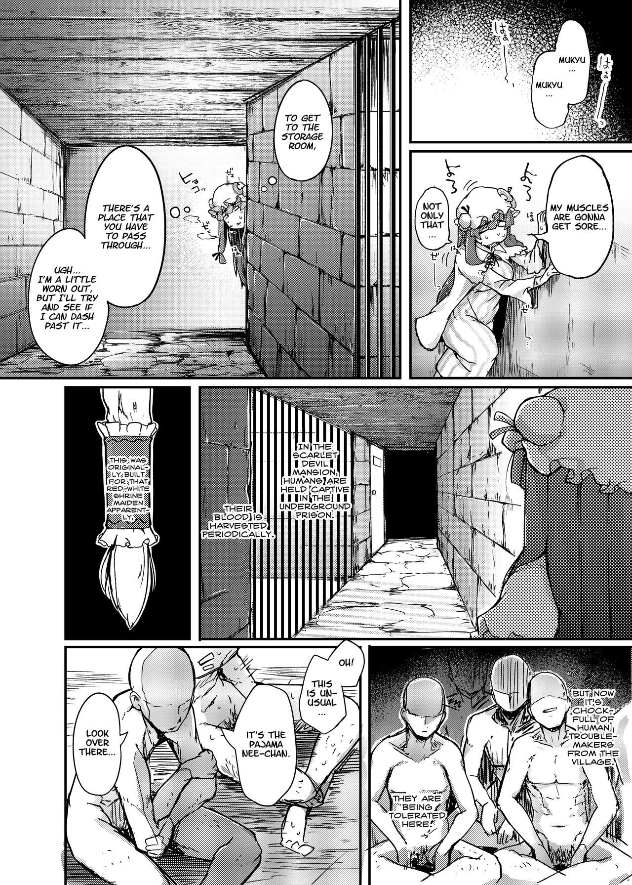 [Jikahatsudensho (flanvia)] Ana to Muttsuri Dosukebe Daitoshokan | The Hole and the Closet Perverted Unmoving Great Library (Touhou Project) [English] [Nisor] [Digital] page 4 full