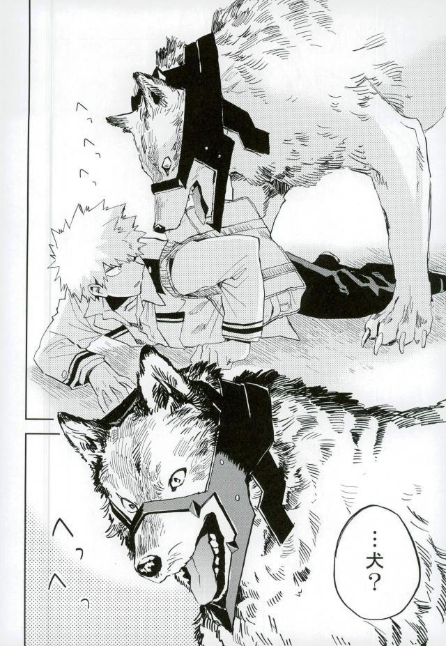 (Douyara Deban no Youda! 6) [okura (Abaraya)] Kedamono yo Iradachi ni Tsume o Fukume (Boku no Hero Academia) page 7 full