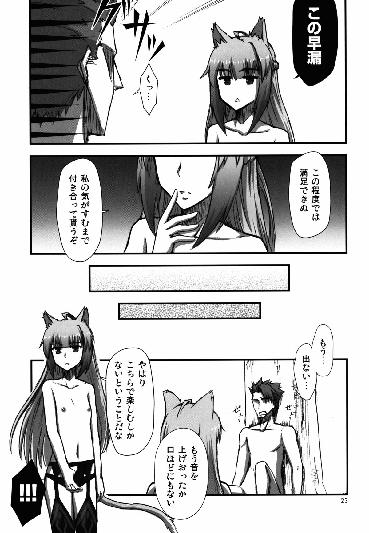 (C85) [Wiz's Studio (Hirono)] PARAPHILIA PLAY (Fate/Apocrypha) page 23 full