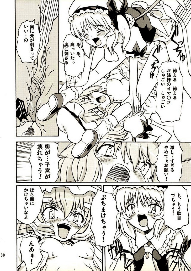 (Reitaisai 2) [Takakuya (Takaku Toshihiko)] Touhou Youjo Ranbu 2 (Touhou Project) page 29 full