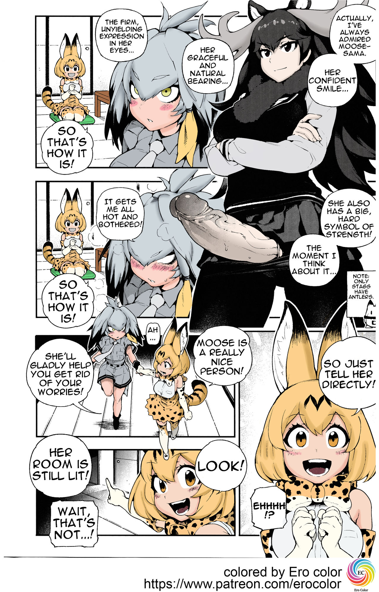 (FF30) [Bear Hand (Fishine, Ireading)] BEAST FRIENDS (Kemono Friends) [English][Colorized][Erocolor] page 4 full