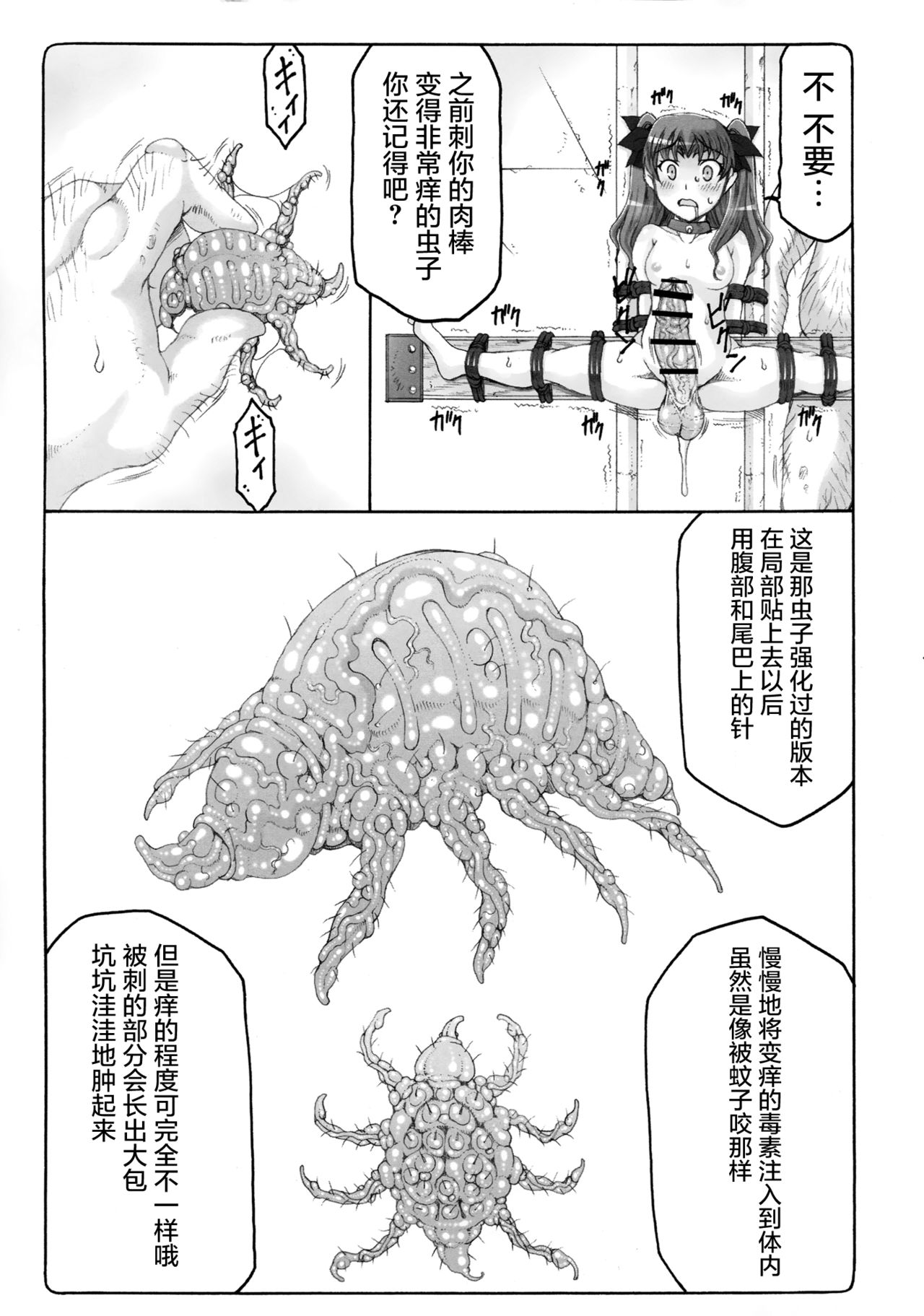 (C90) [Abarenbow Tengu (Izumi Yuujiro)] Kotori 13 (Fate/stay Night) [Chinese] [屏幕髒了漢化組] page 14 full