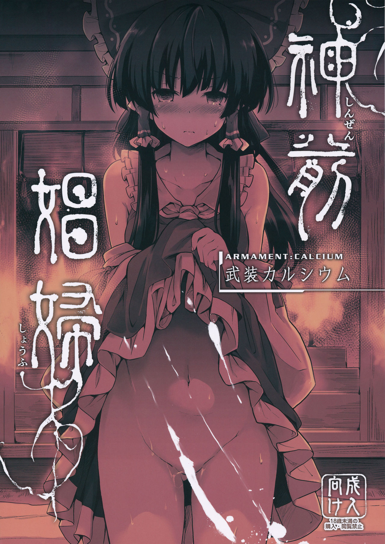 (C91) [Armament Calcium (Take Calcium)] Shinzen Shoufu (Touhou Project) [Chinese] [朔夜汉化] page 2 full