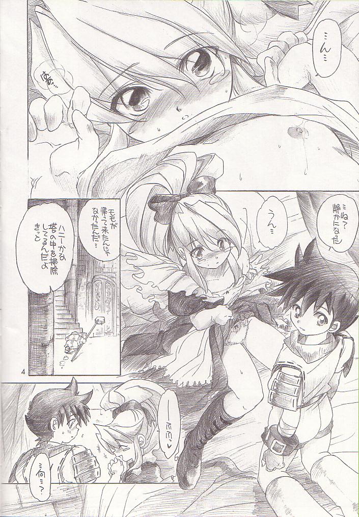 (CR32) [Toko-ya (Kitoen)] Mo Ichido Tamanegi Ringo. (Breath Of Fire III) page 3 full