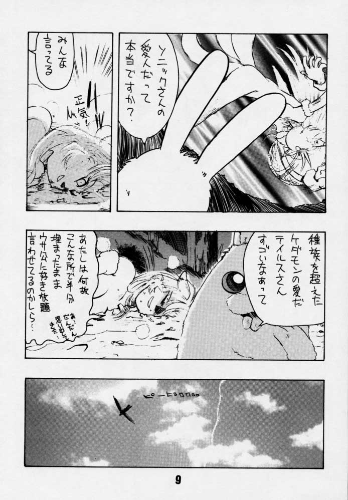 [Rikudoukan] Sonic & Tails page 8 full