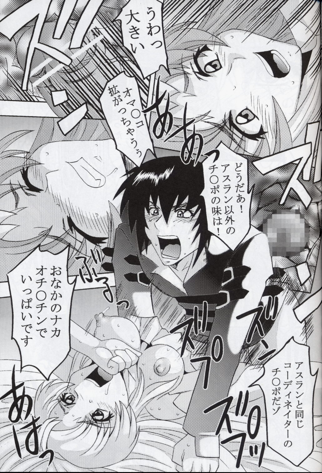 [St. Rio (Kitty, Ishikawa Ippei)] COSMIC BREED 4 (Gundam SEED DESTINY) page 32 full
