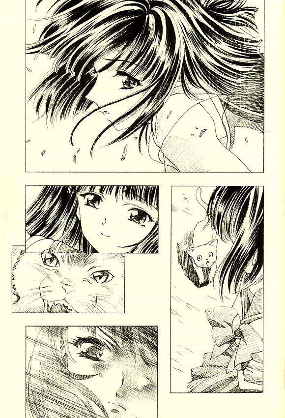 (CR31)[Henrei-kai (Kawarajima Koh)] Hotaru Ame (Bishoujo Senshi Sailor Moon) page 24 full