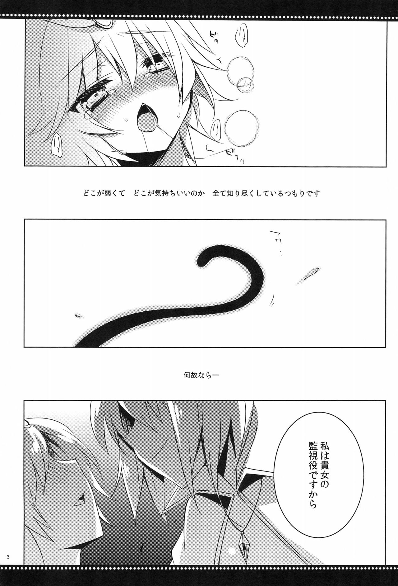 (Reitaisai 9) [hlz (Sanom)] Nezumi 50% (Touhou Project) page 3 full