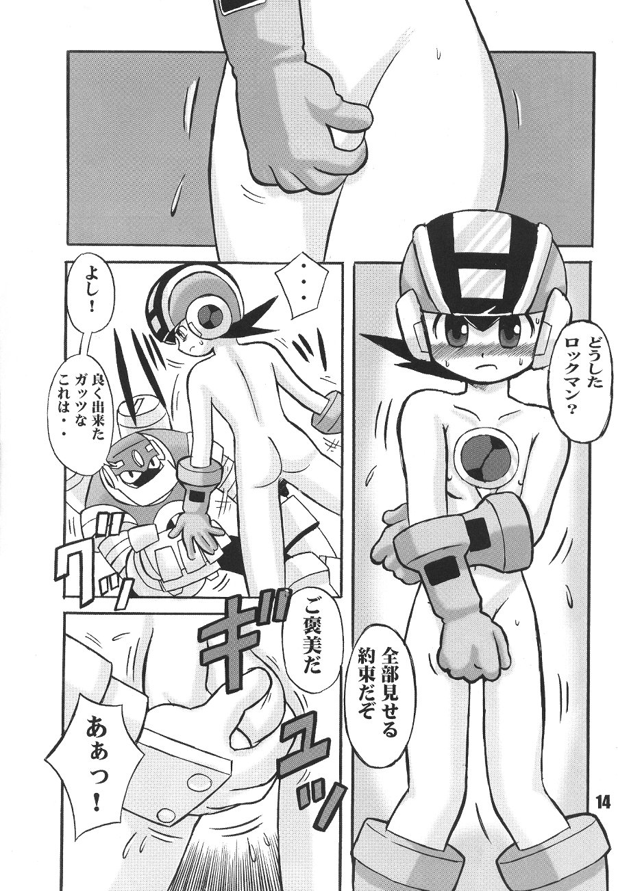 [FRESH FRUIT S (Various)] Rock'n ON (Mega Man NT Warrior) page 14 full