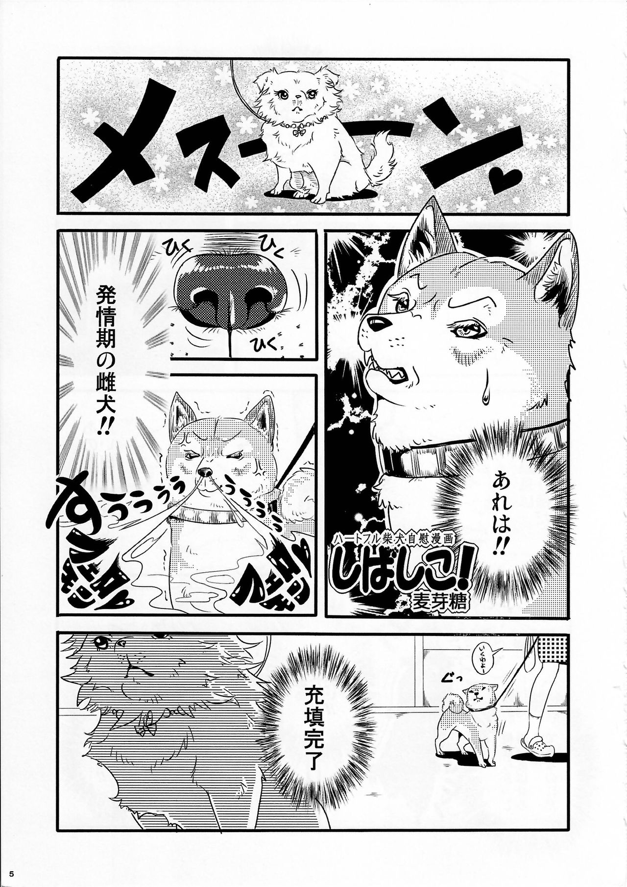 (Kansai! Kemoket 4) [KTQ48 (Various)] KTQ9 page 5 full
