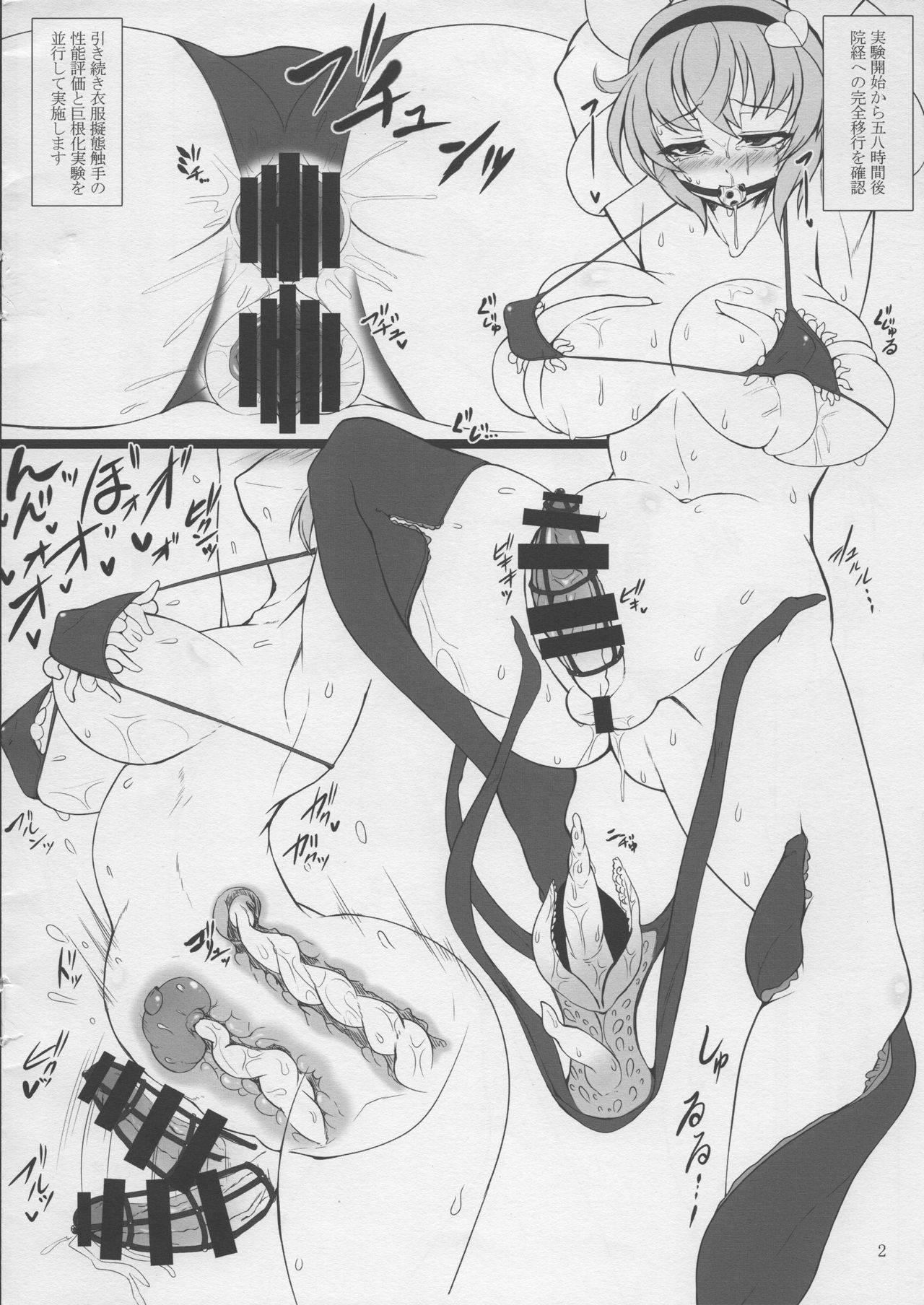 (Shuuki Reitaisai) [Hadairo Rooibos Tea (Pandain)] Shokushu Chireiden ~Futanari Kaizou Jikkenroku~ (Touhou Project) page 3 full