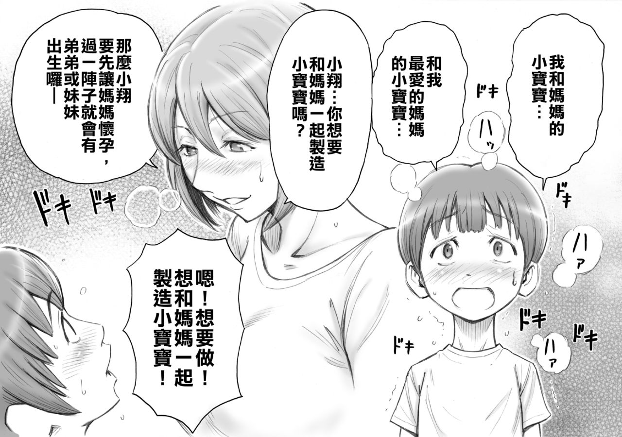 [DT Koubou (DAIGO)] Daisuki na Mama to Aka-chan o Tsukurou [Chinese] [亂譯爛改漢化狗] page 17 full