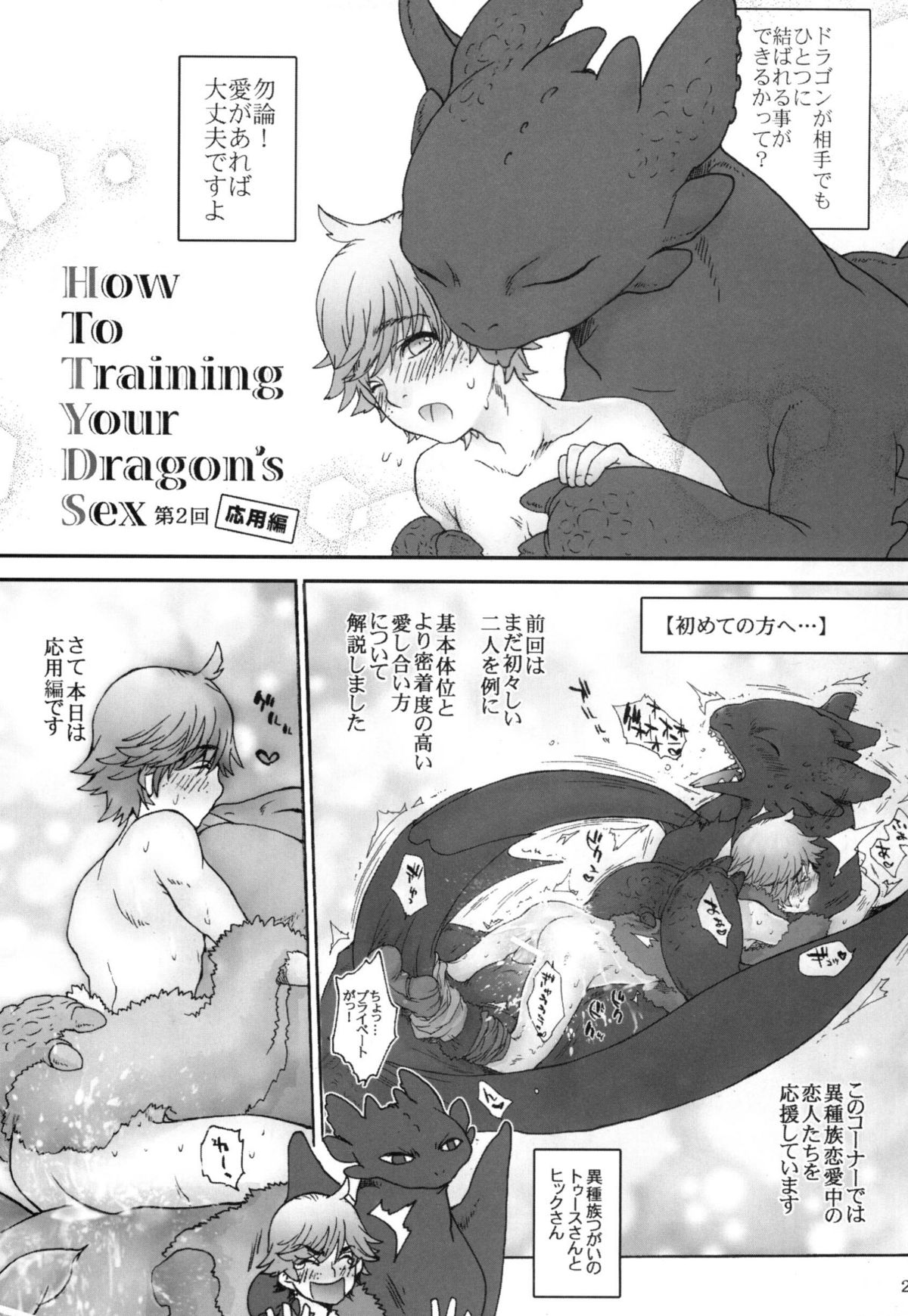 (C80) [Kon'na Tokoro no Kin'niku made Kitaeru nante... (Sugoi Kin'niku)] BEST PARTNER4 (How to Train Your Dragon) page 28 full