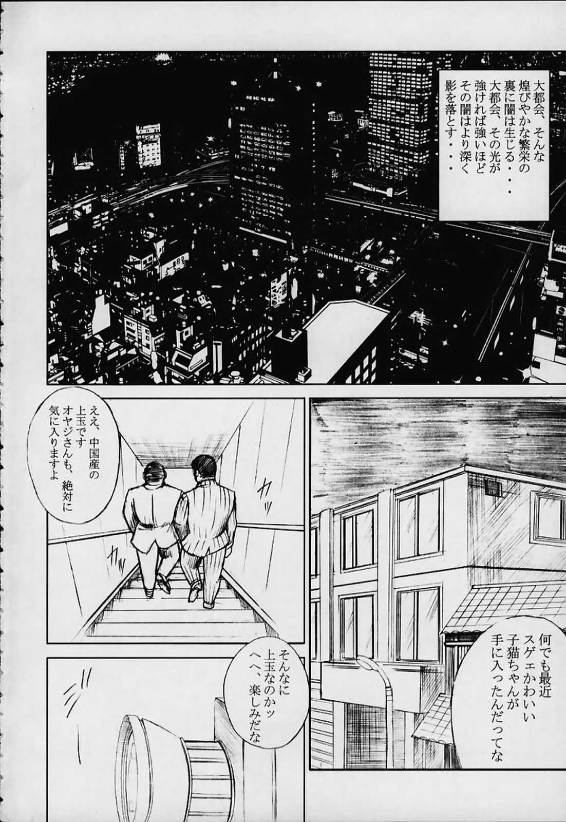 [Abura katabura (Papipurin)] Bishoujo Houshiteki Binyuu Juurin (Dead or Alive) page 3 full