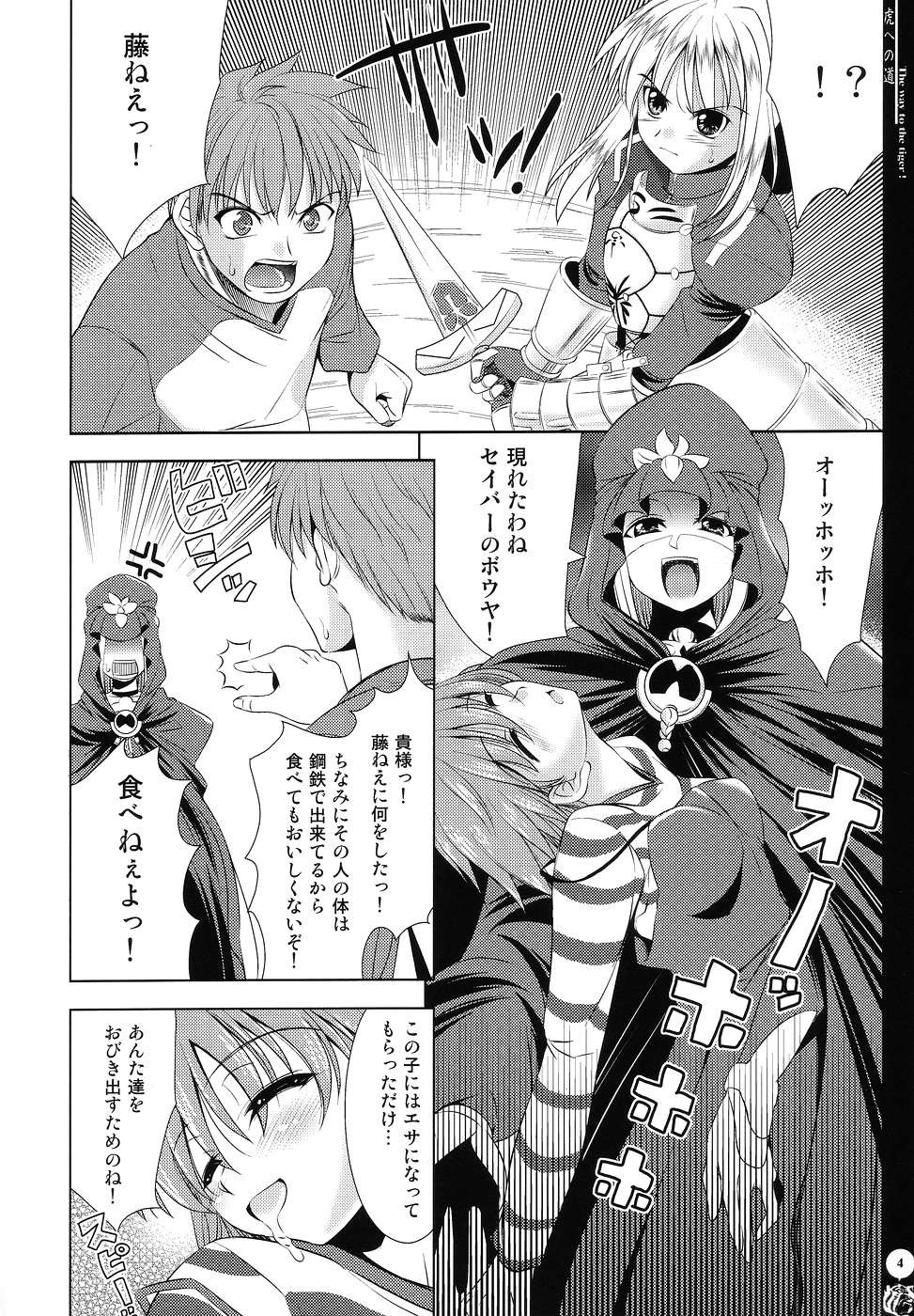 (C67) [Goromenz (Yasui Riosuke)] Tora e no Michi (Fate/stay night) page 3 full