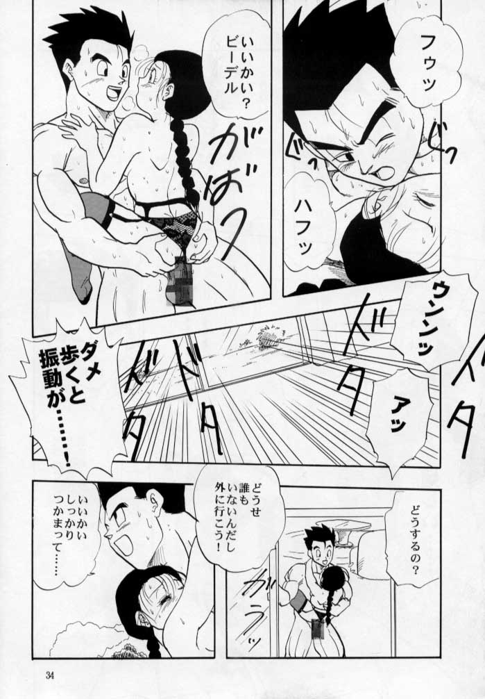 (C53) [Chirigami Goya, Fusuma Goten (Shouji Hariko)] HOHETO (Dragonball) page 35 full