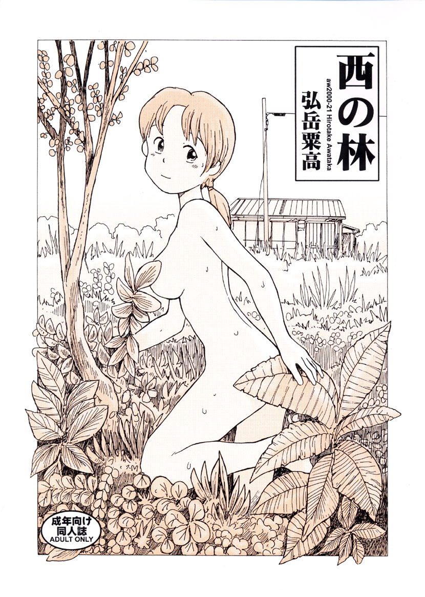 [Awatake Takahiro] Nishi no Hayashi page 1 full