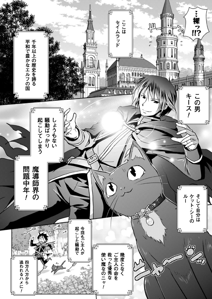 [Tokimal Yoshihisa, Isogai Taketsura] Elf no Kuni no Kyuutei Madoushi ni Nareta no de Hime-sama ni Seiteki na Itazura o Shite Mita THE COMIC [Digital] page 6 full