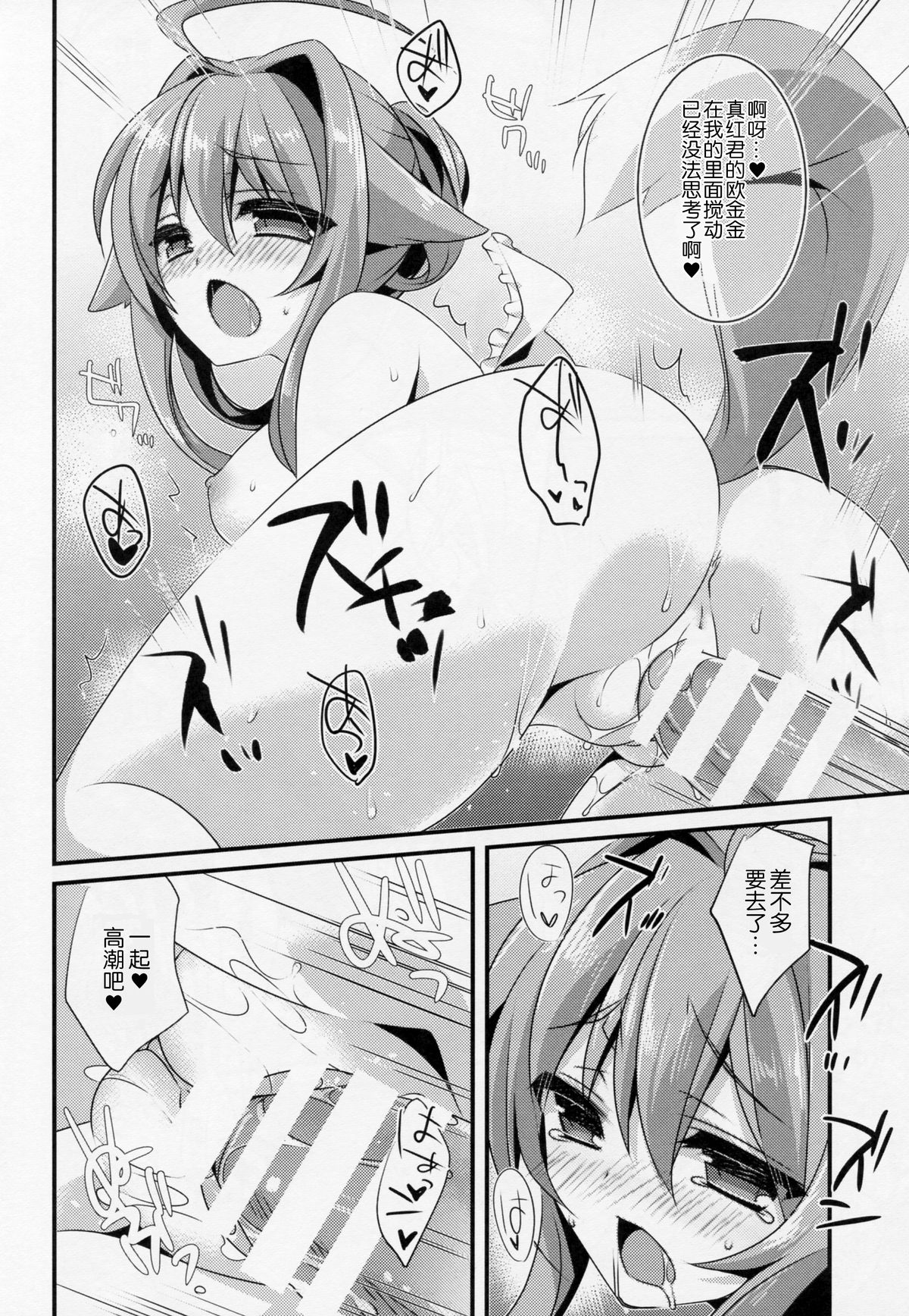 (C87) [hlz (Sanom)] D.D.Kingdom6 (DOG DAYS) [Chinese] [hado与怜个人汉化] page 14 full