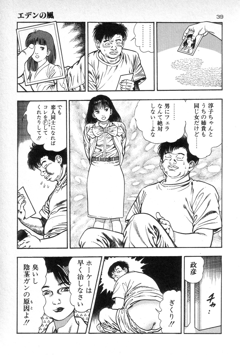 [Maeda Toshio] Eden no Kaze page 41 full